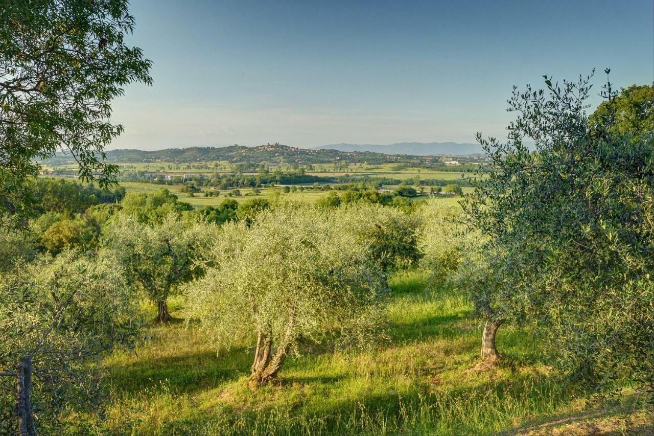 Willa Tuscan Roots La Croce Zewnętrze zdjęcie